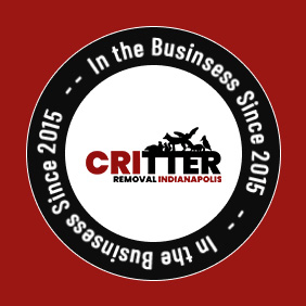 Critter Removal Indianapolis