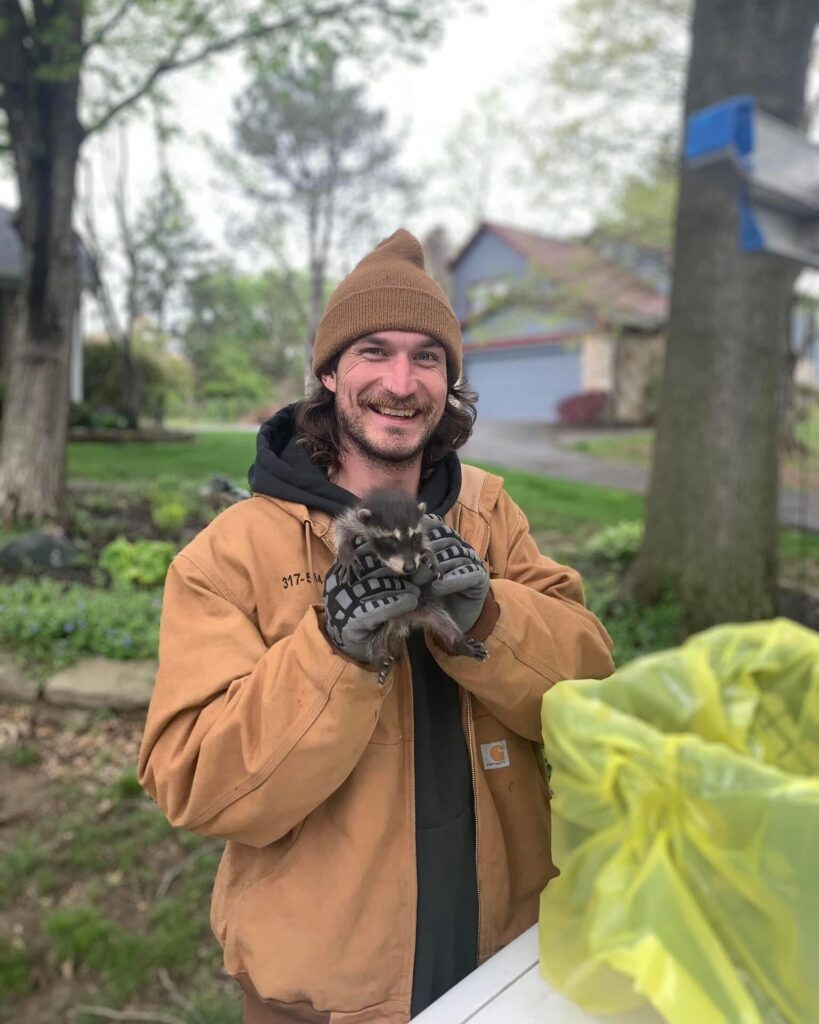 Critter Removal - Raccoon Removal - Humane Wildlife Removal