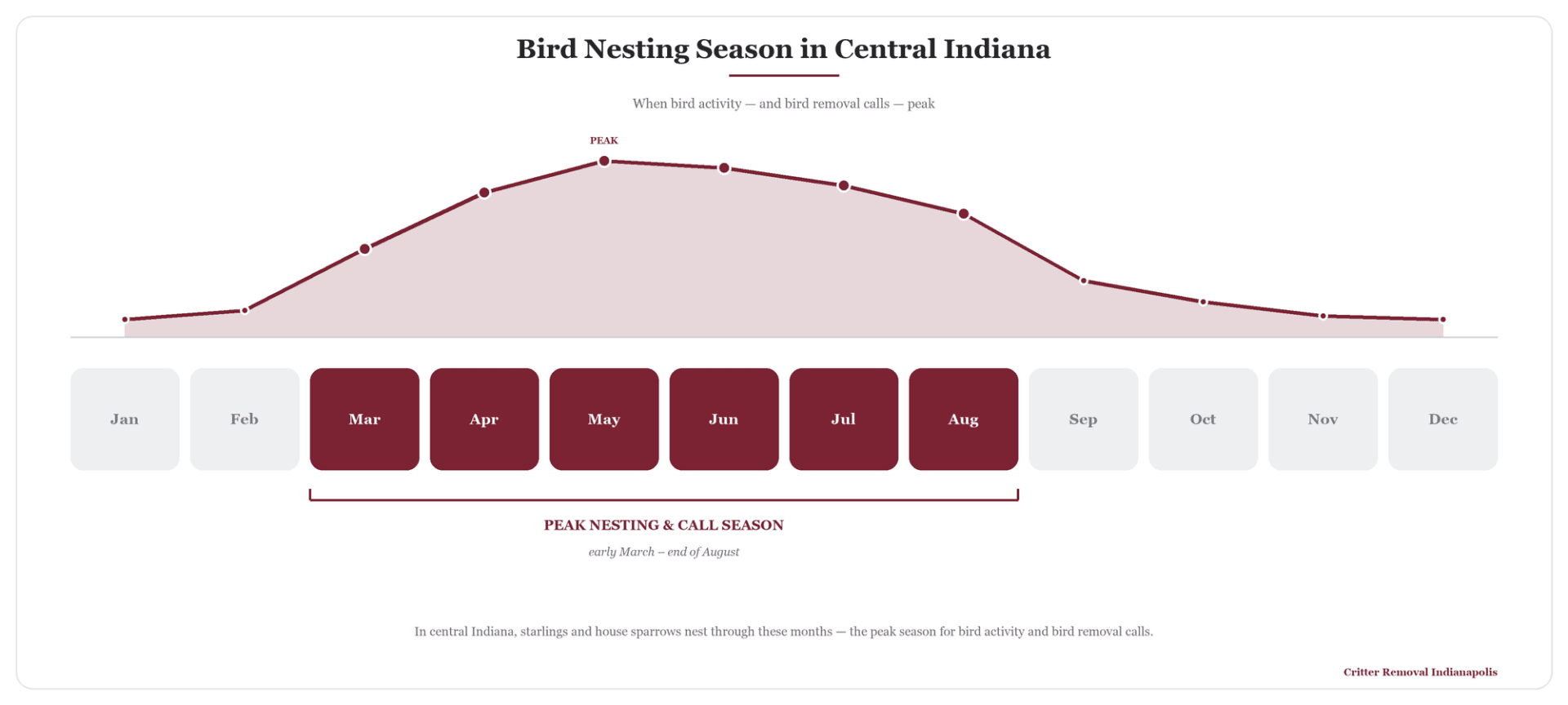 Timeline graphic showing bird nesting season in central Indiana, with March through August highlighted as the peak nesting and bird removal call season